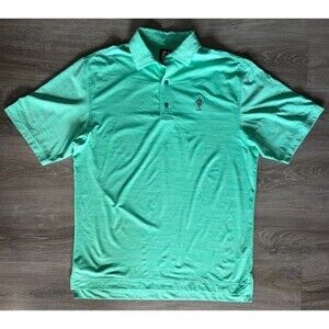 FootJoy Athletic Fit Golf Polo Shirt Mens Medium Green Stripe Performance Stretc